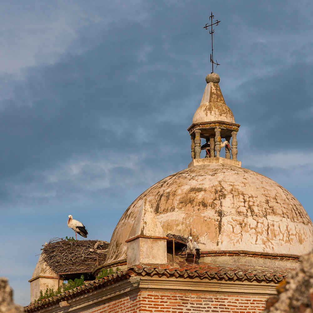 "Многоквартирная" крыша
