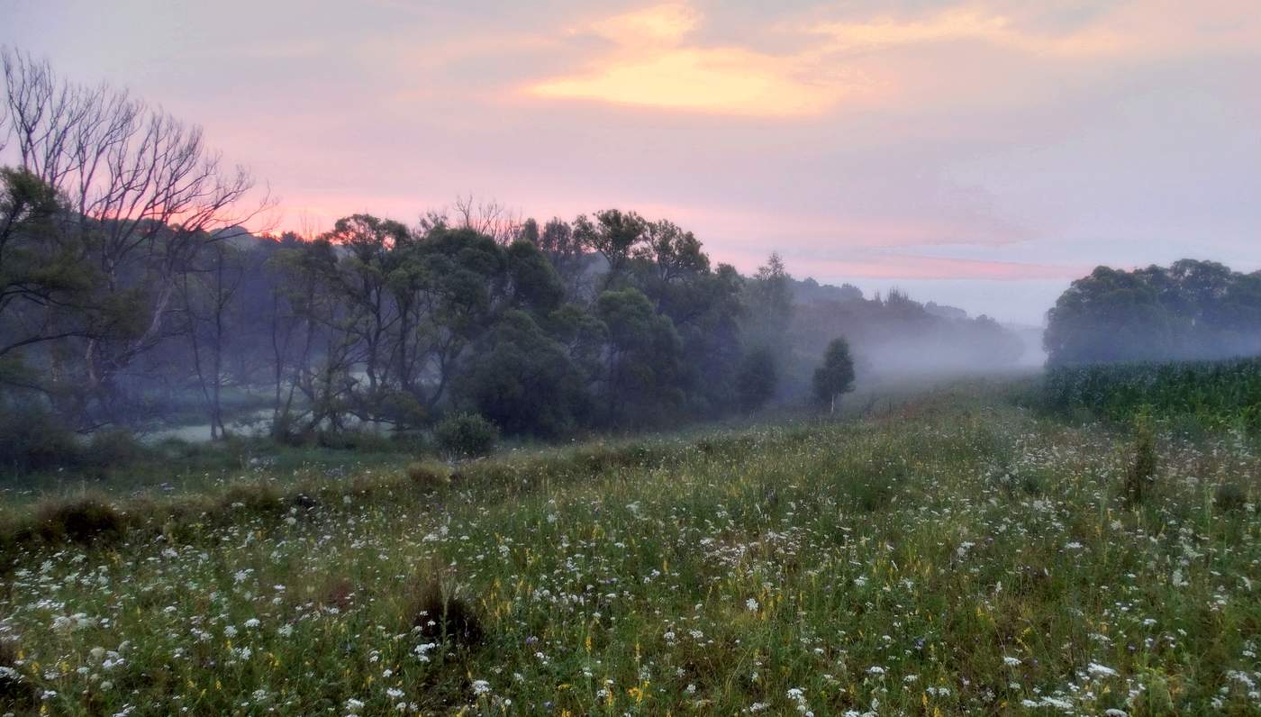 Июльское раннее туманное утро