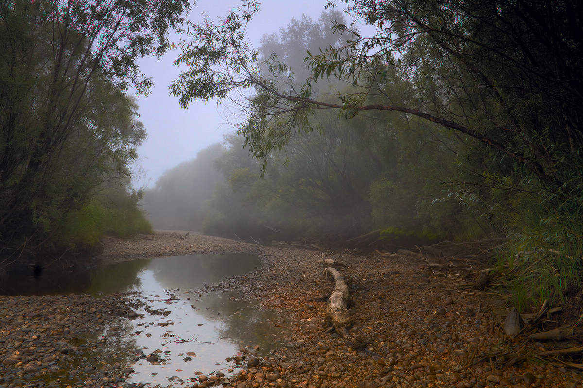 Пересохшая протока