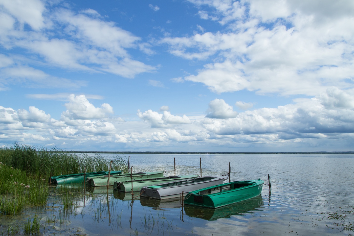 Летний погожий денек