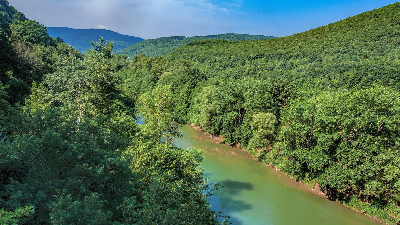 Зеленая река