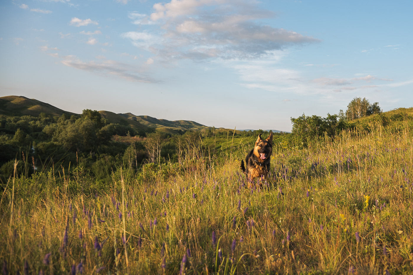 Вечерний моцион