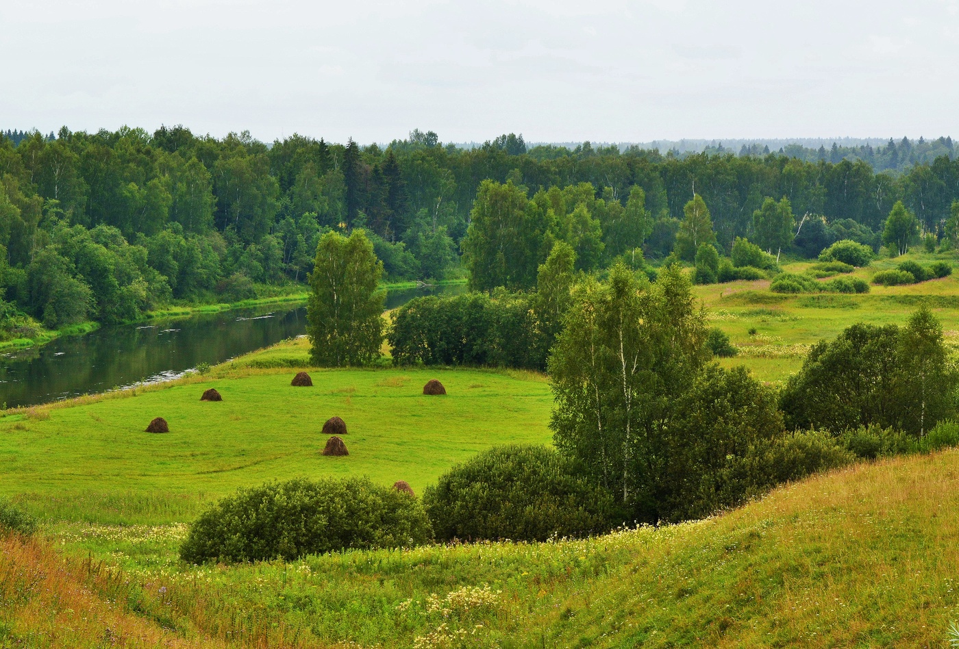 "Стог сена. Июль. Загудели шмели ..."