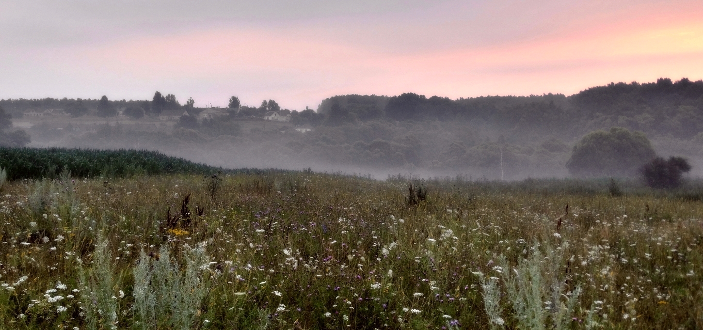 Известный мотив