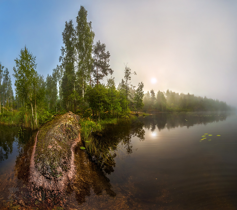 Туманный рассвет