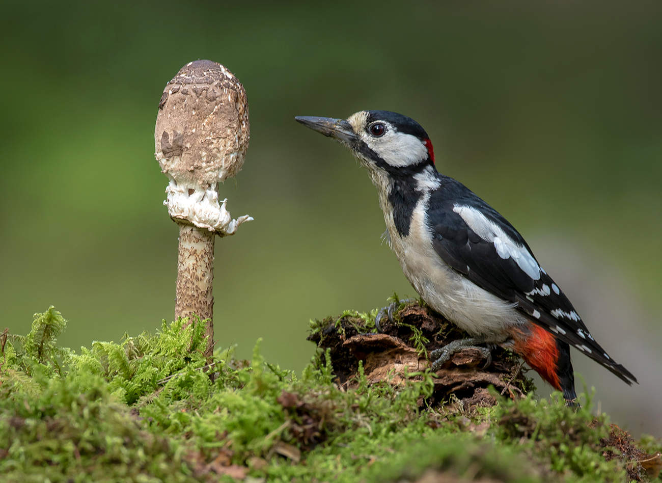 У микрофона