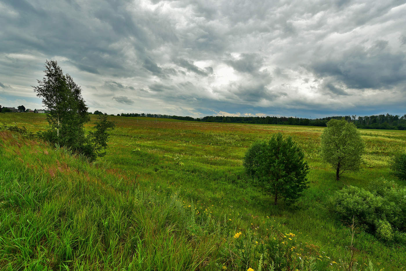 Поле, русское поле ...