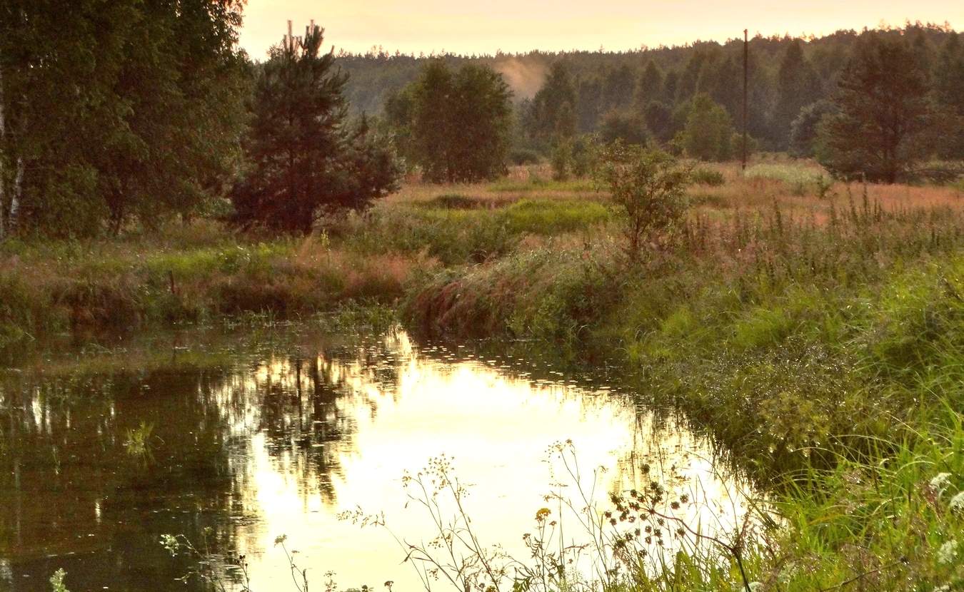 Вечер, дождь моросит