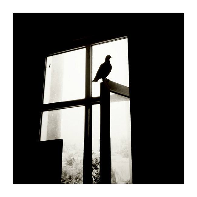 псиса счастья завтрашнего дня (с)