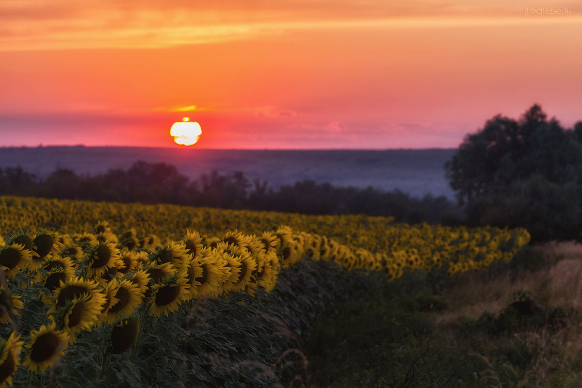 Затихают волны света