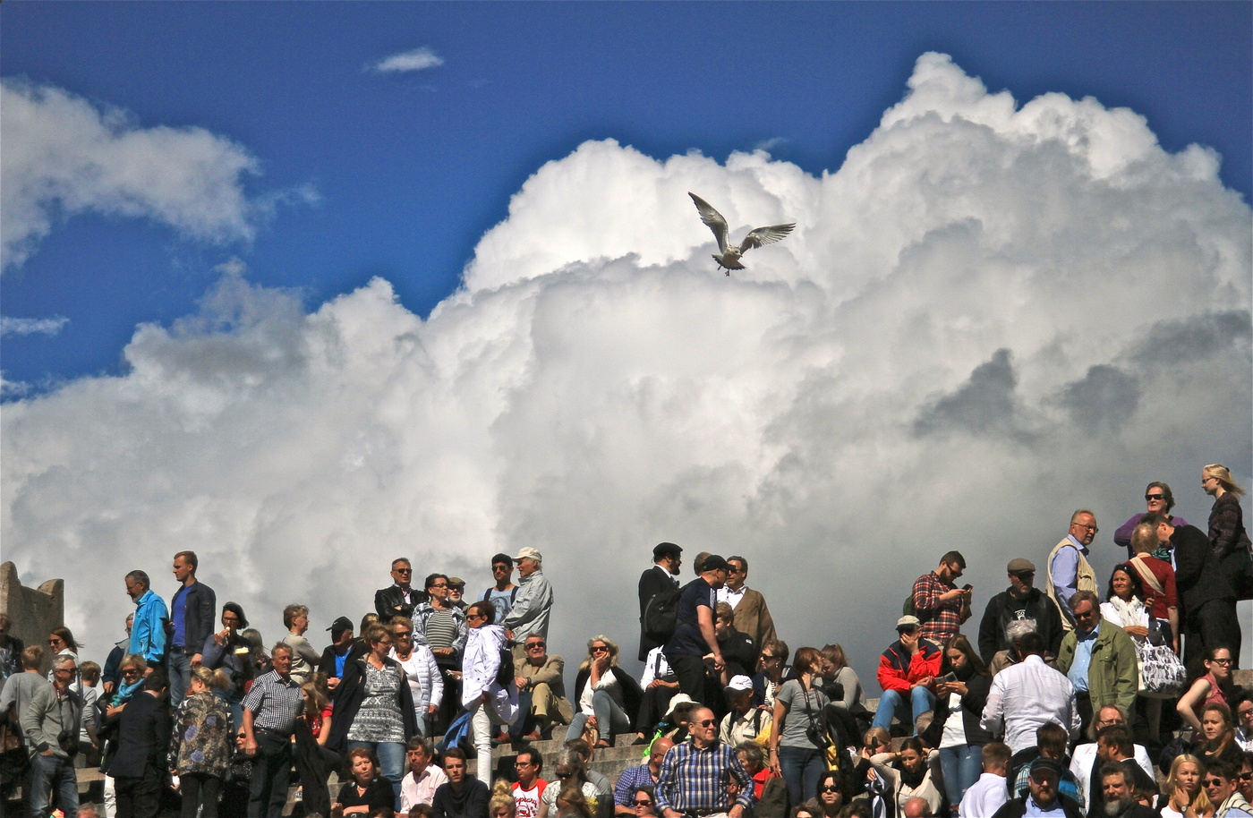 Многолюдное ожидание Годо