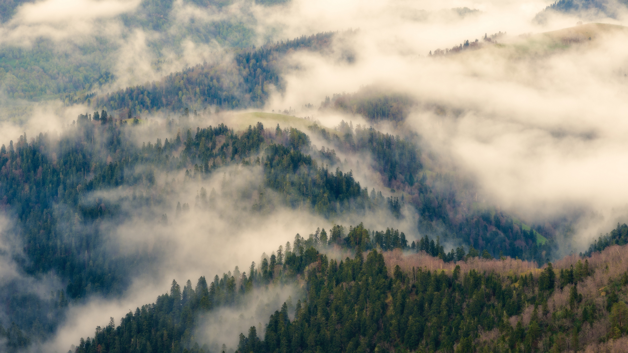 Немного о туманах