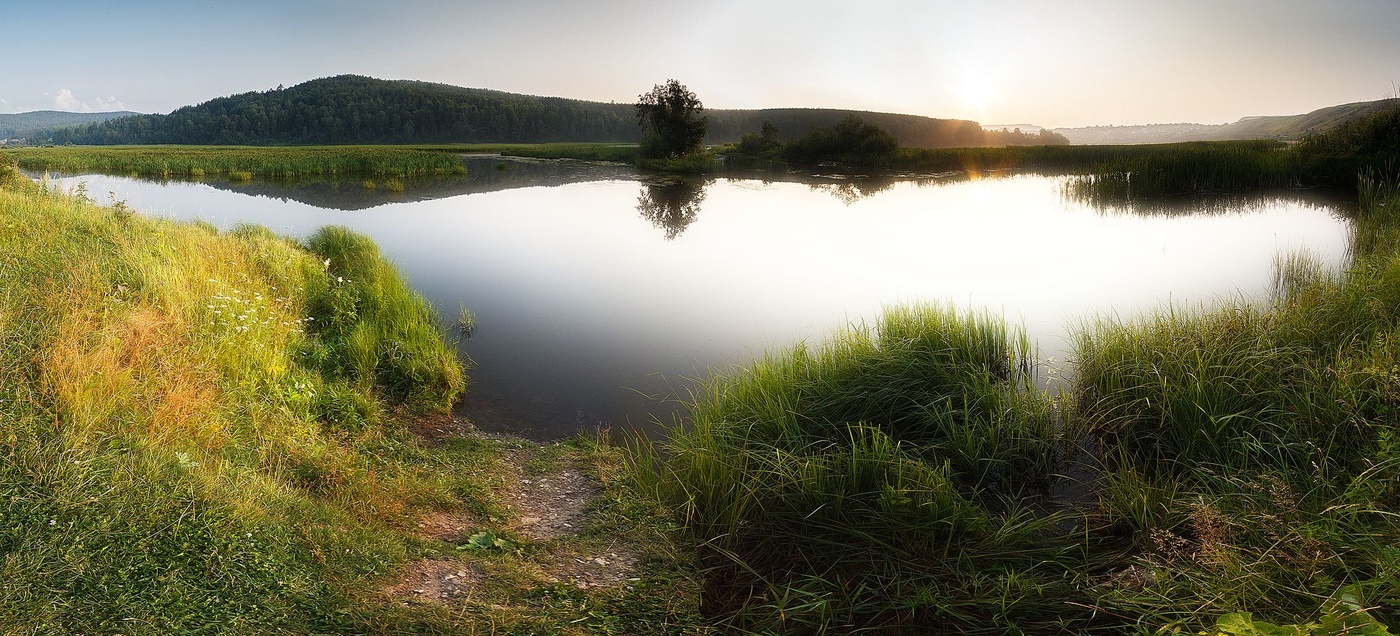 Место обитания комаров