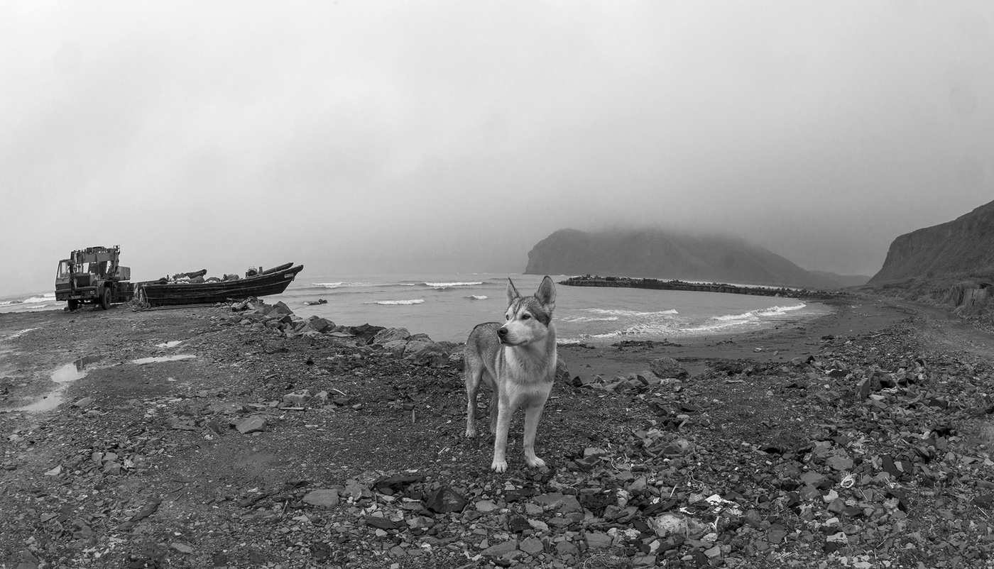 Помощник бригадира