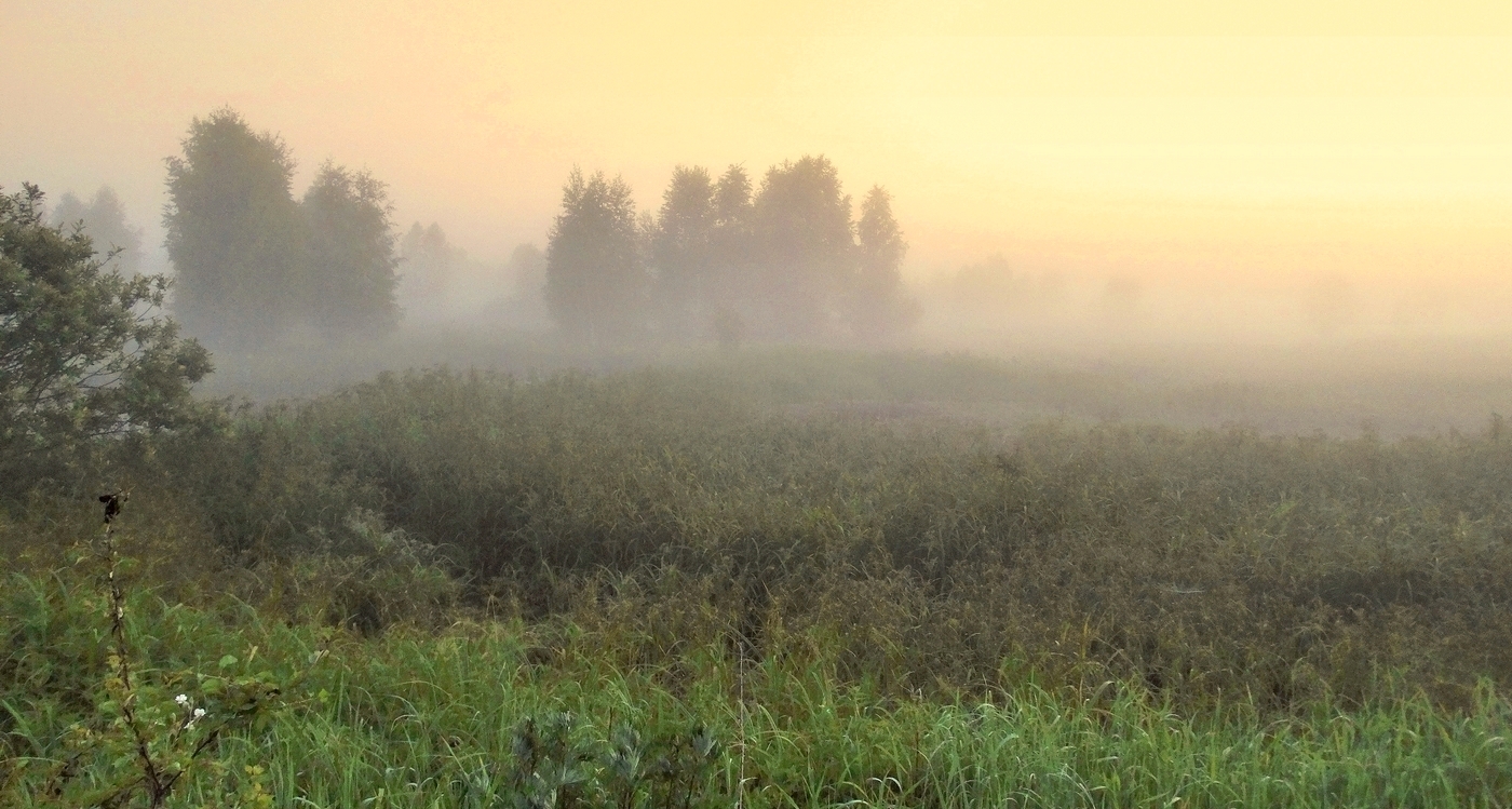 Таинство вечернего тумана