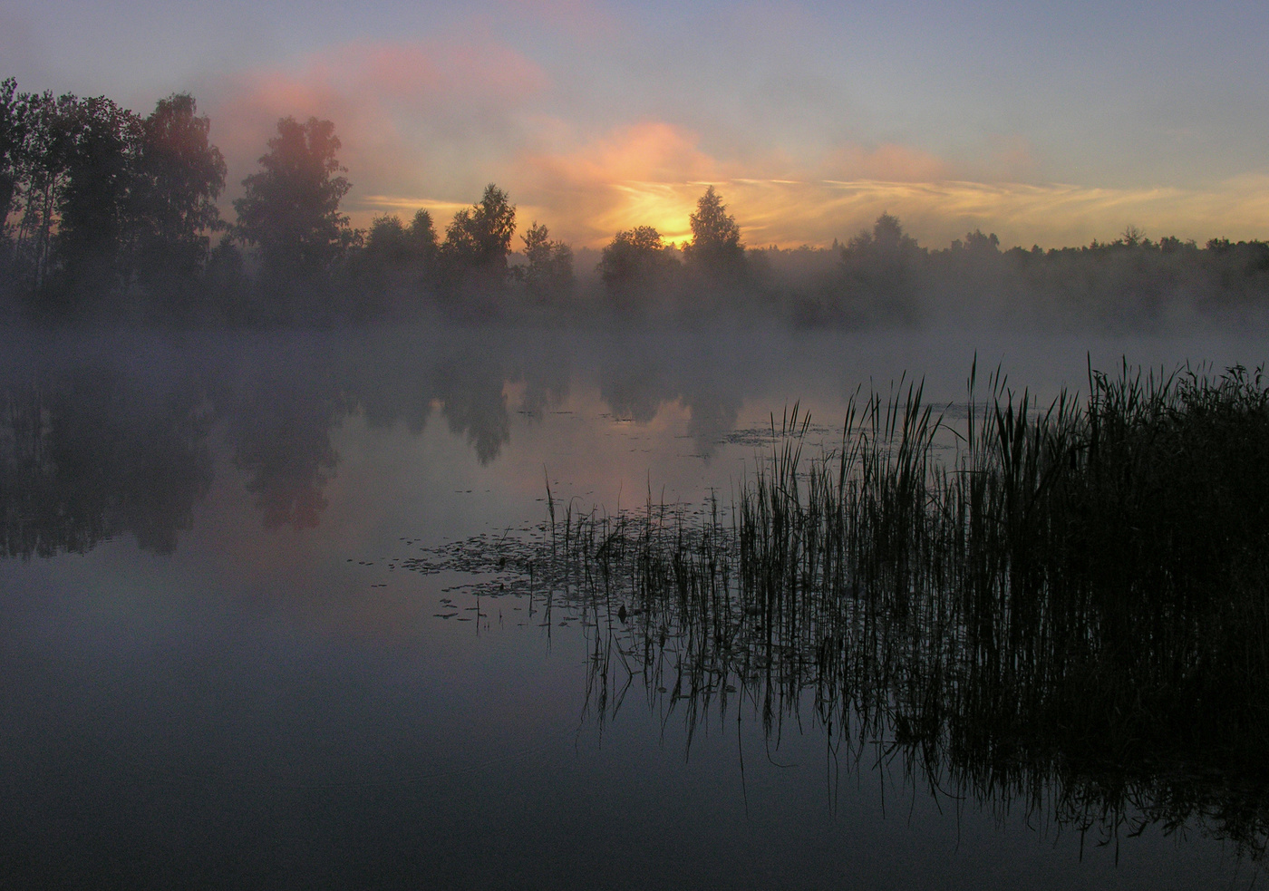 Июльское утро