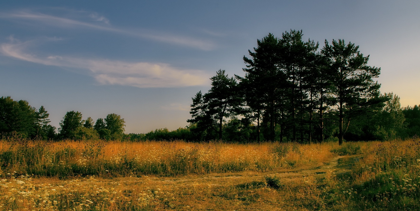 Тёплый вечер.