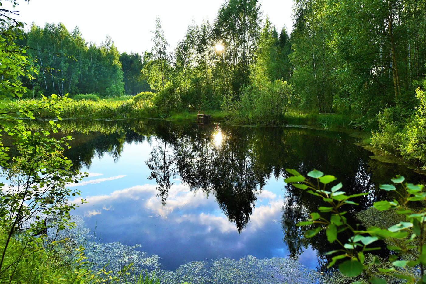 "На озере, тихом и сонном ..."