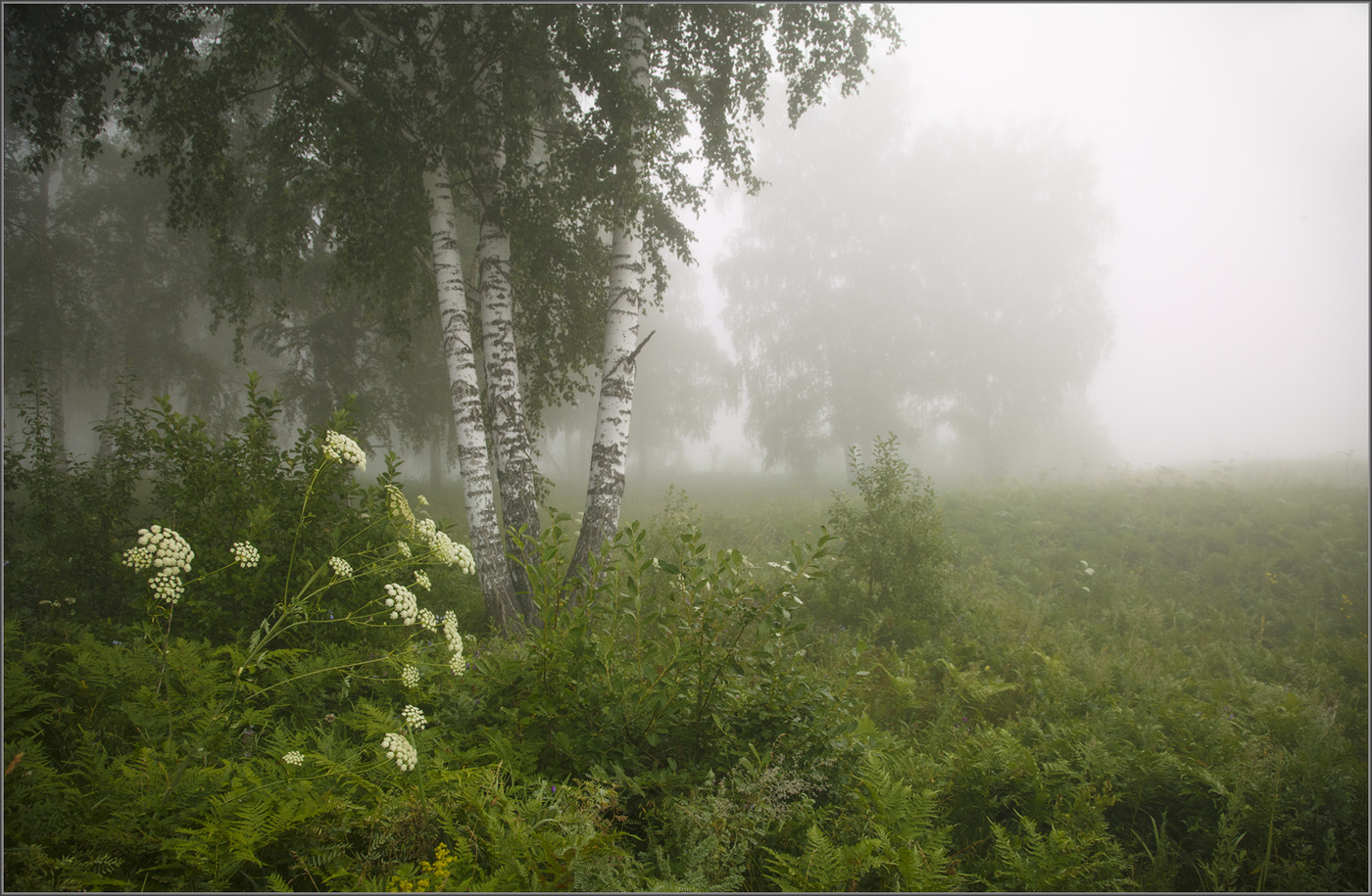 Июльское утро