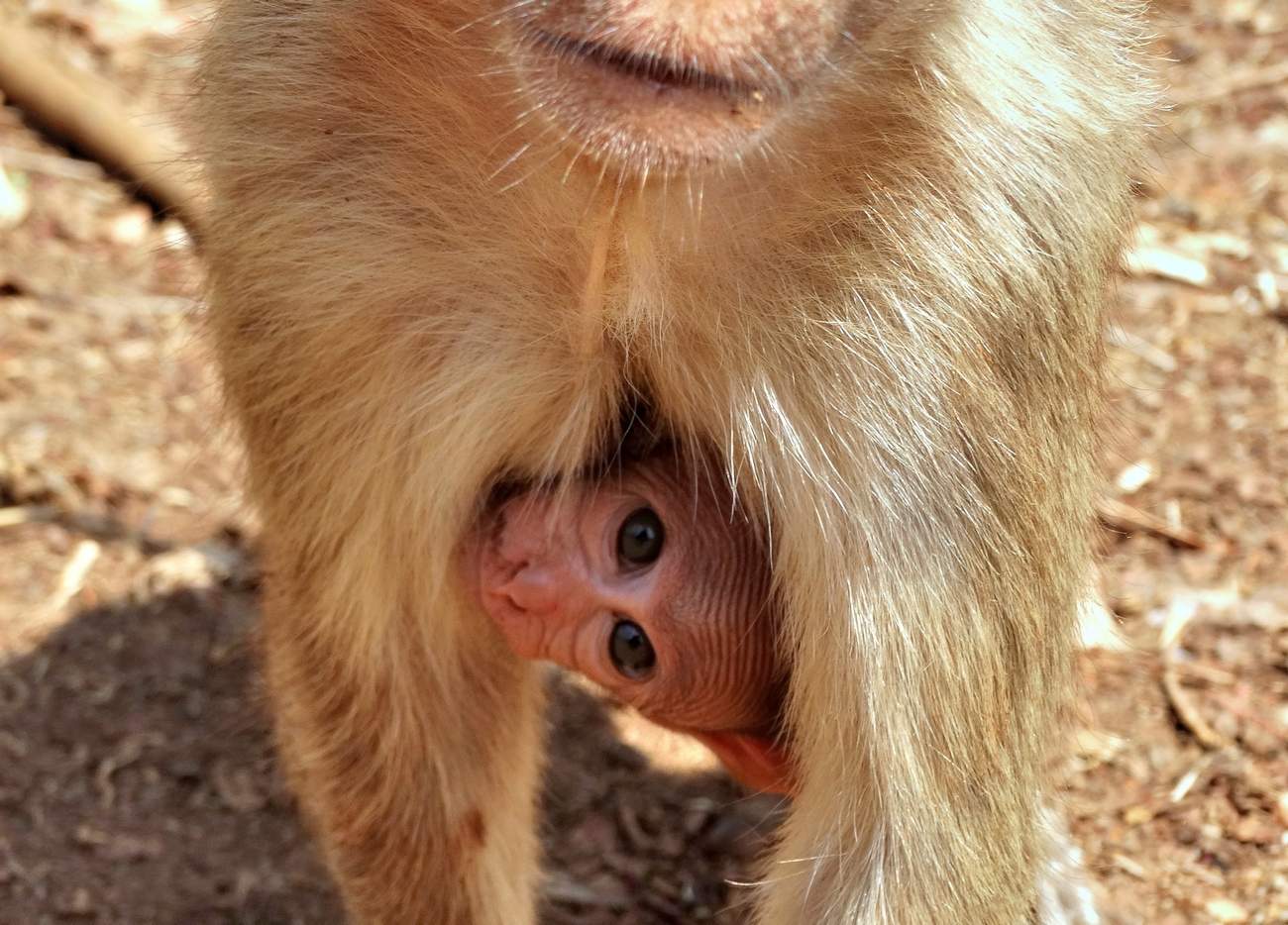 С мамой не страшно