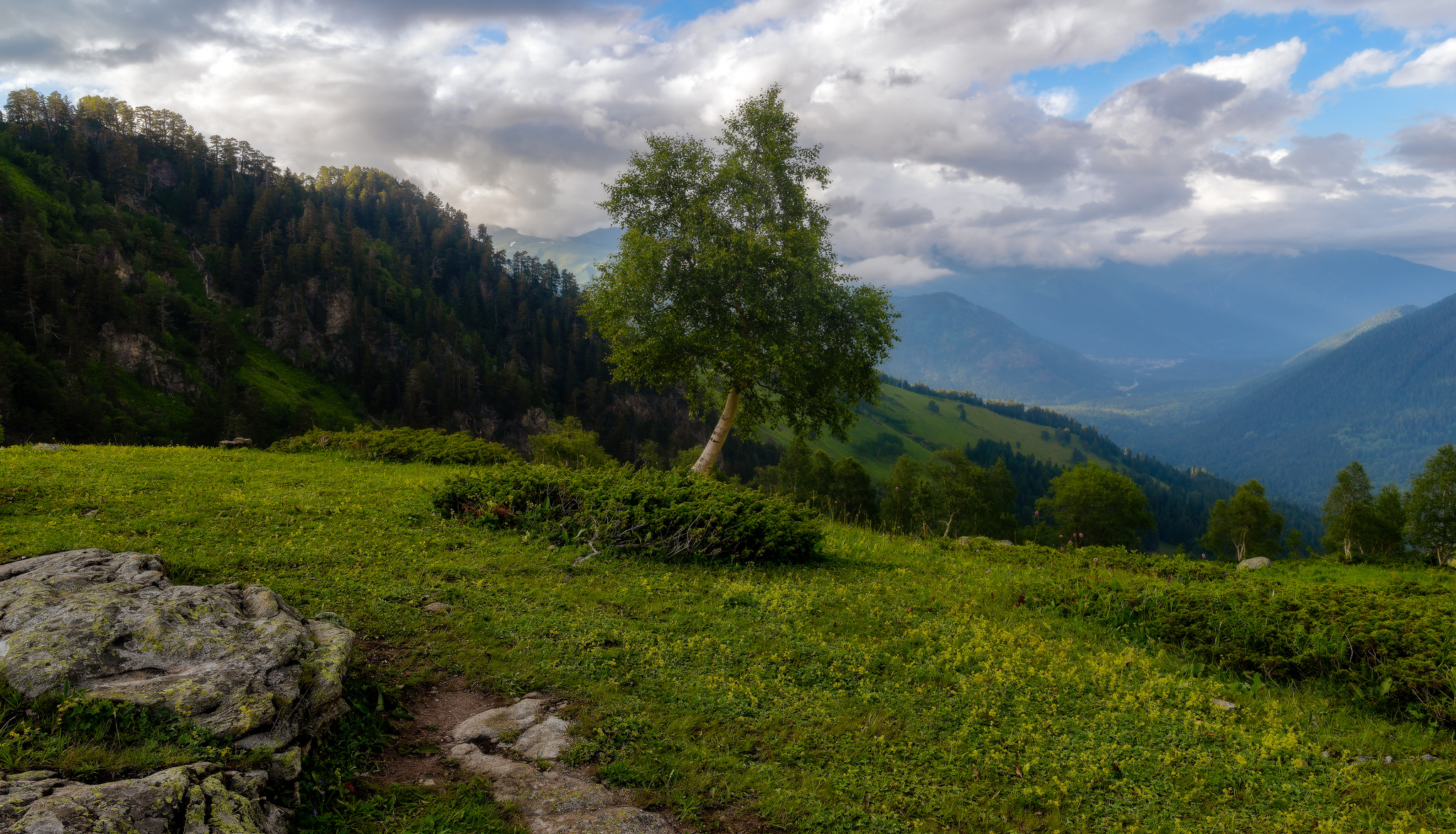 На семи ветрах