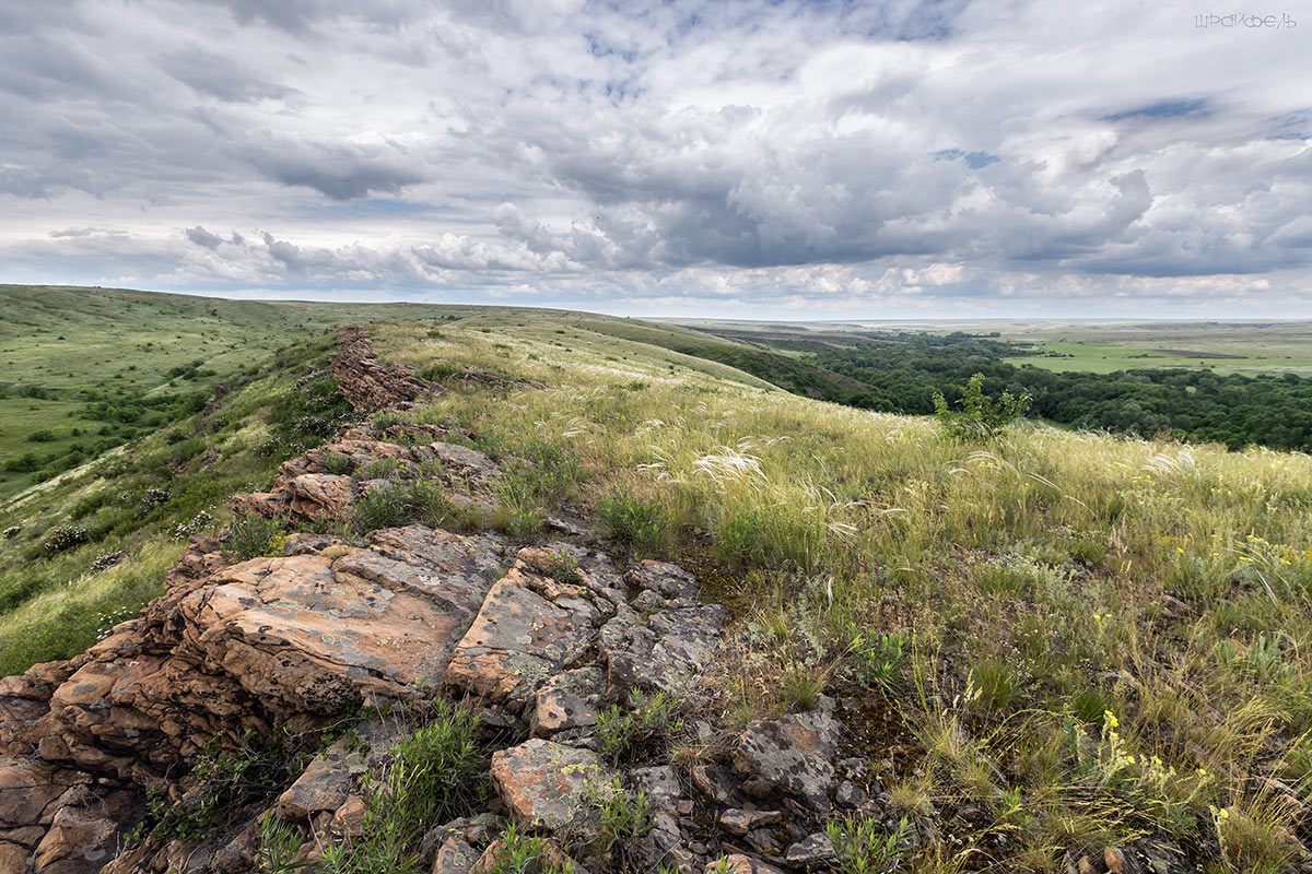 Провальская степь