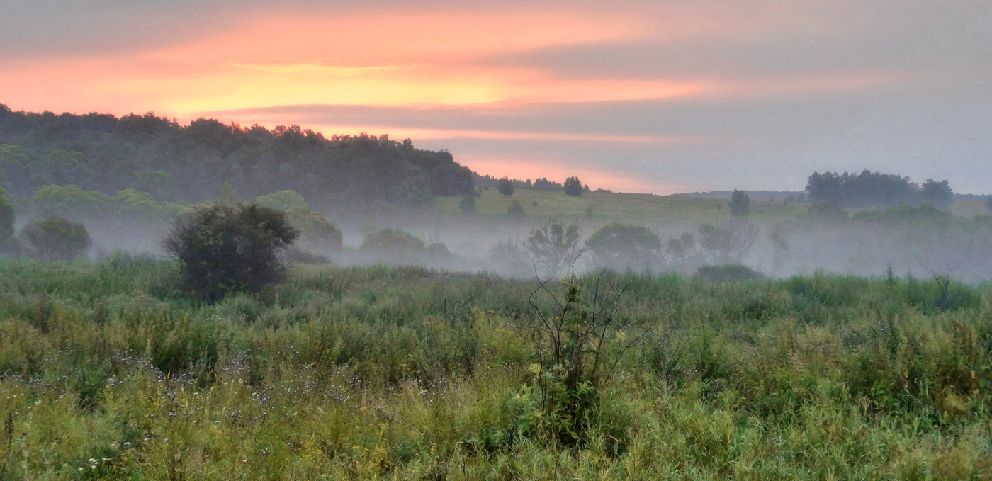 Панорама летнего утра с алой зарёй