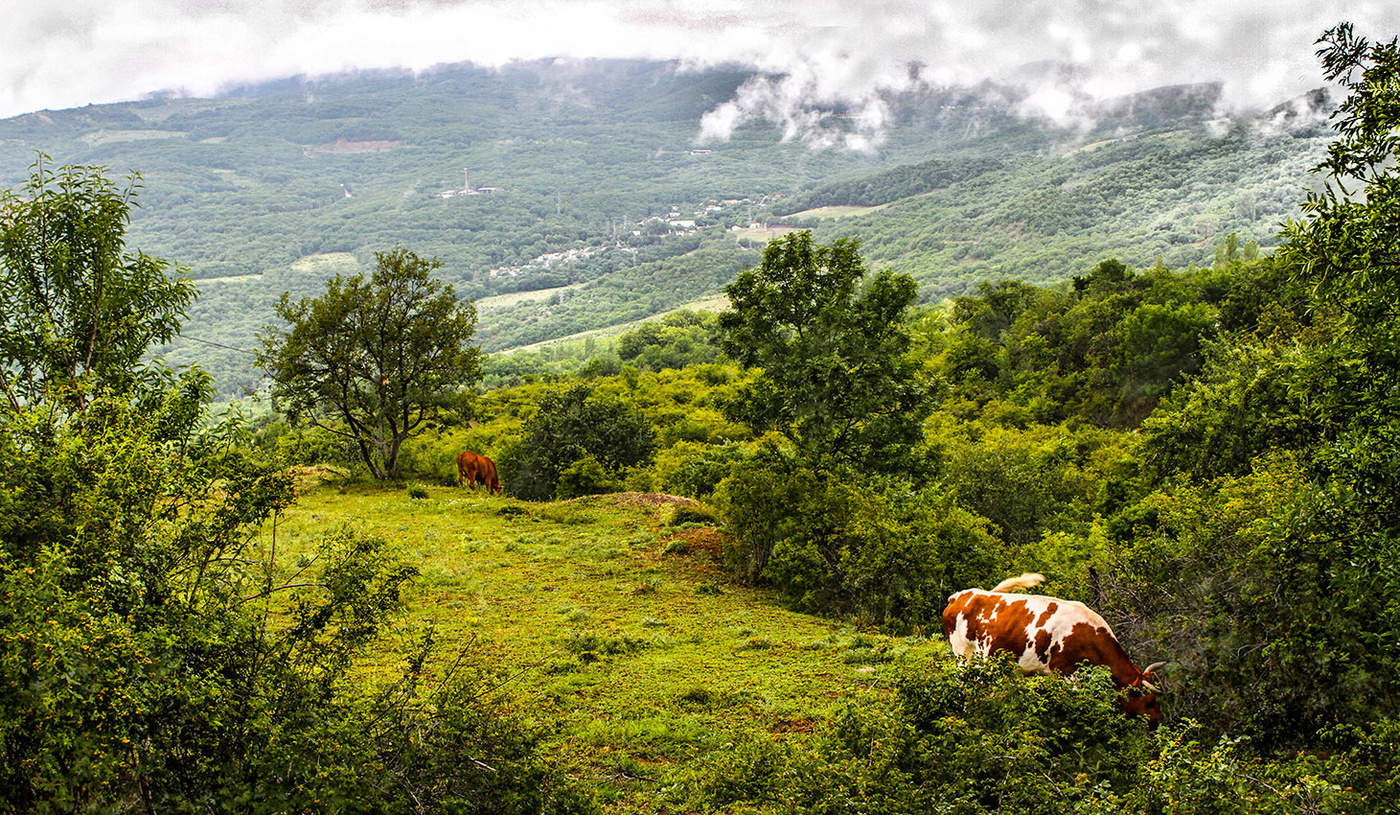 Под облаком.