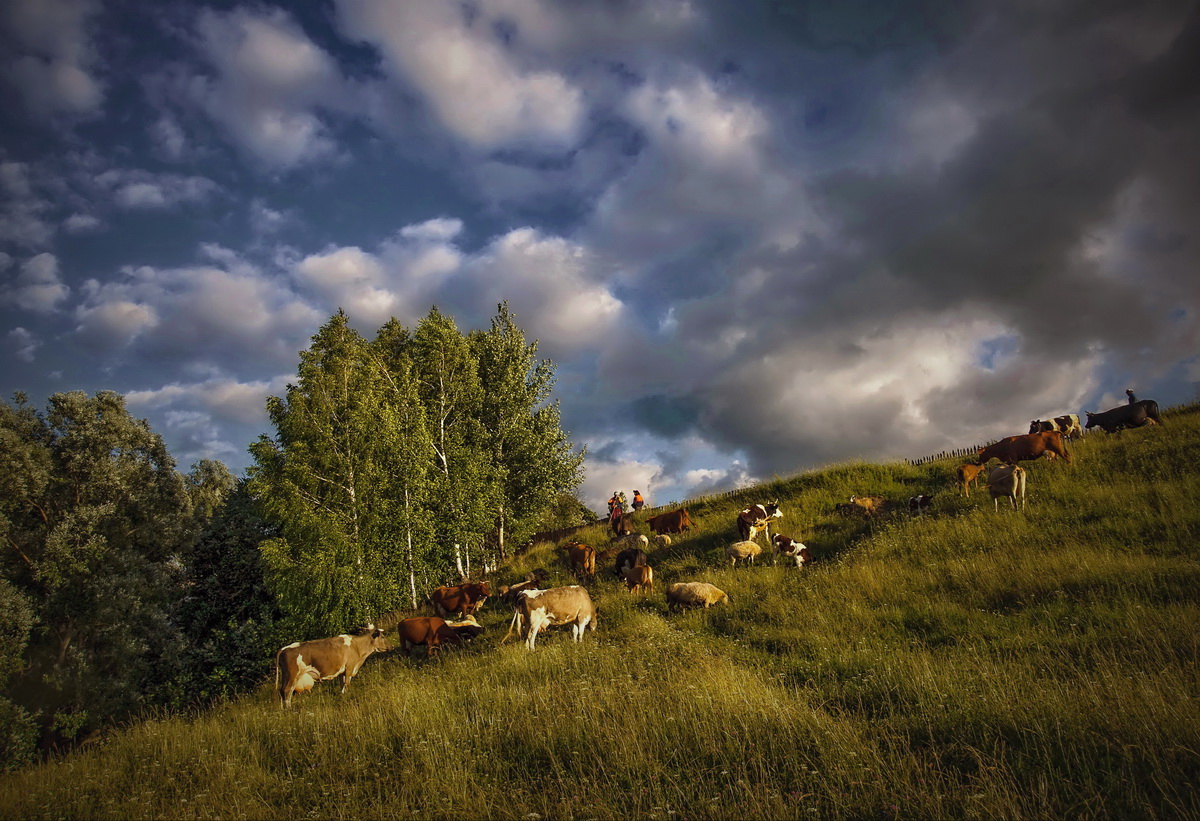 Нагулялись