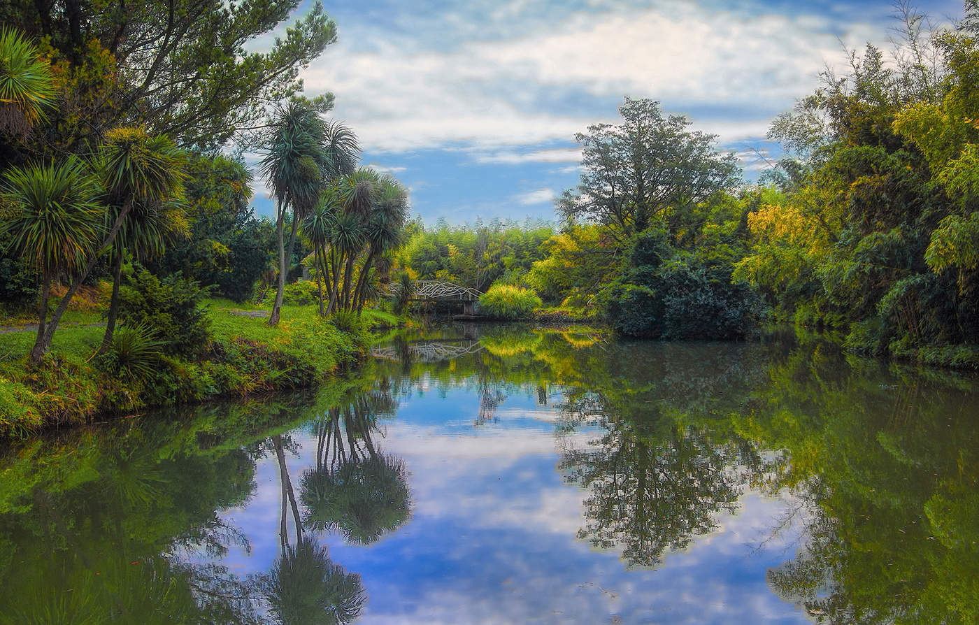 В старом парке