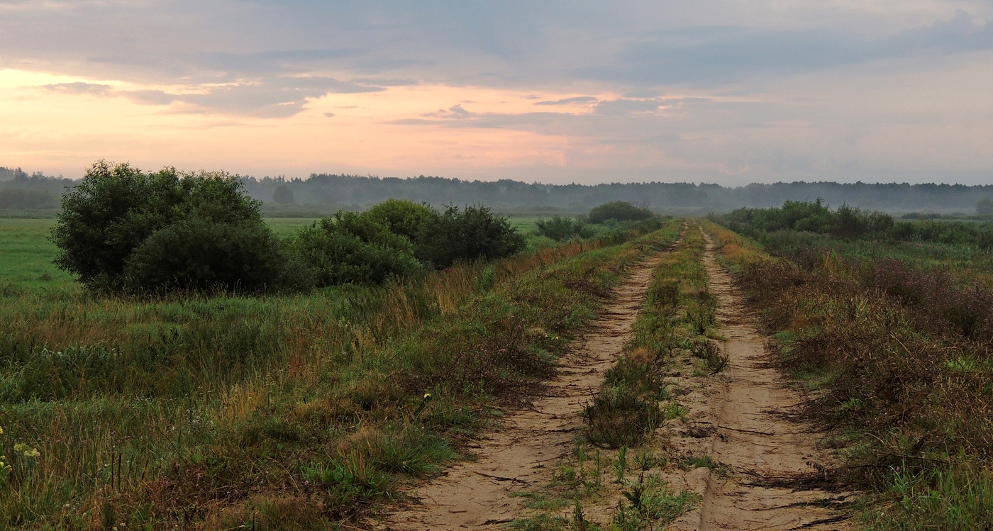 Утренний путь