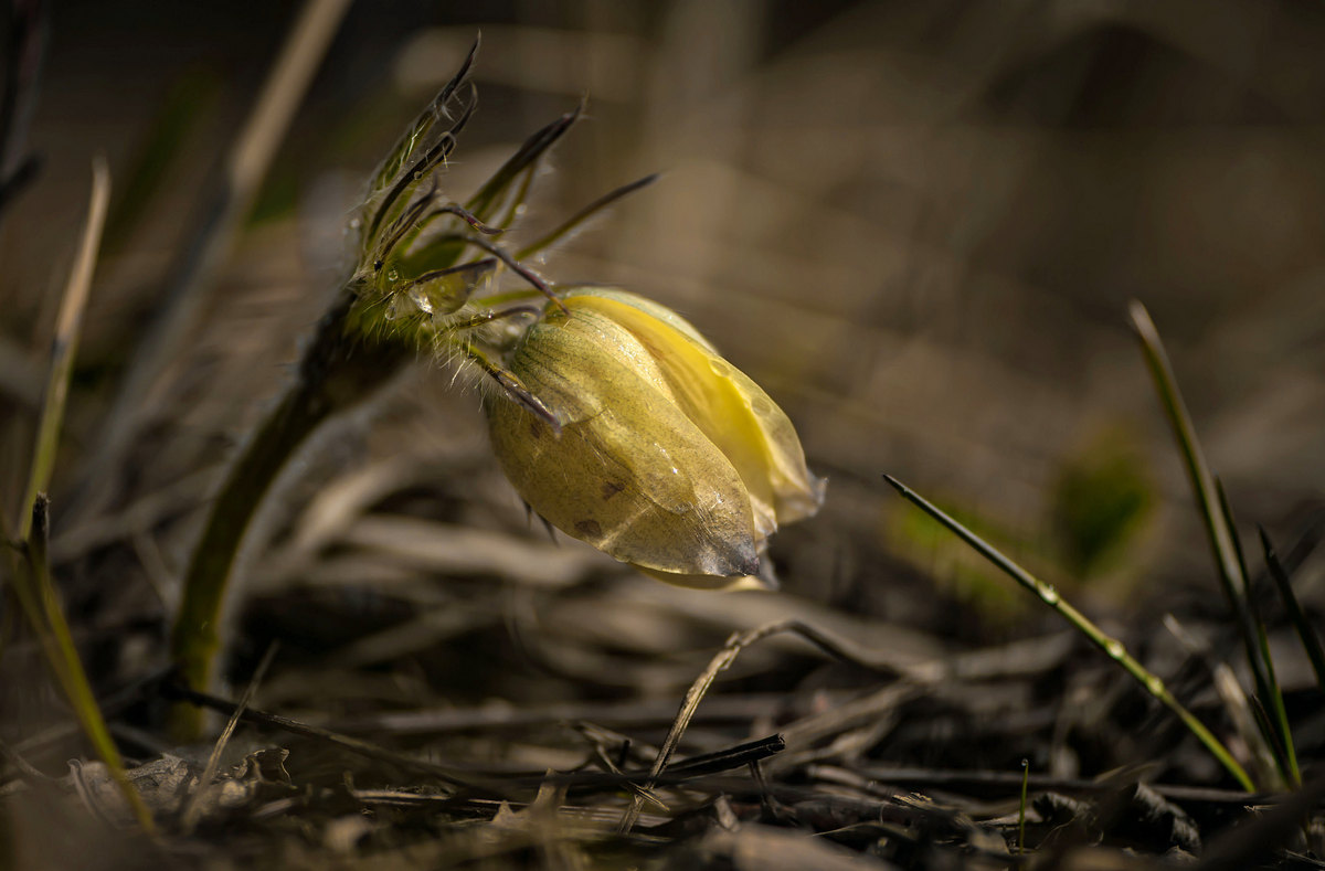 Под весенним солнышком...
