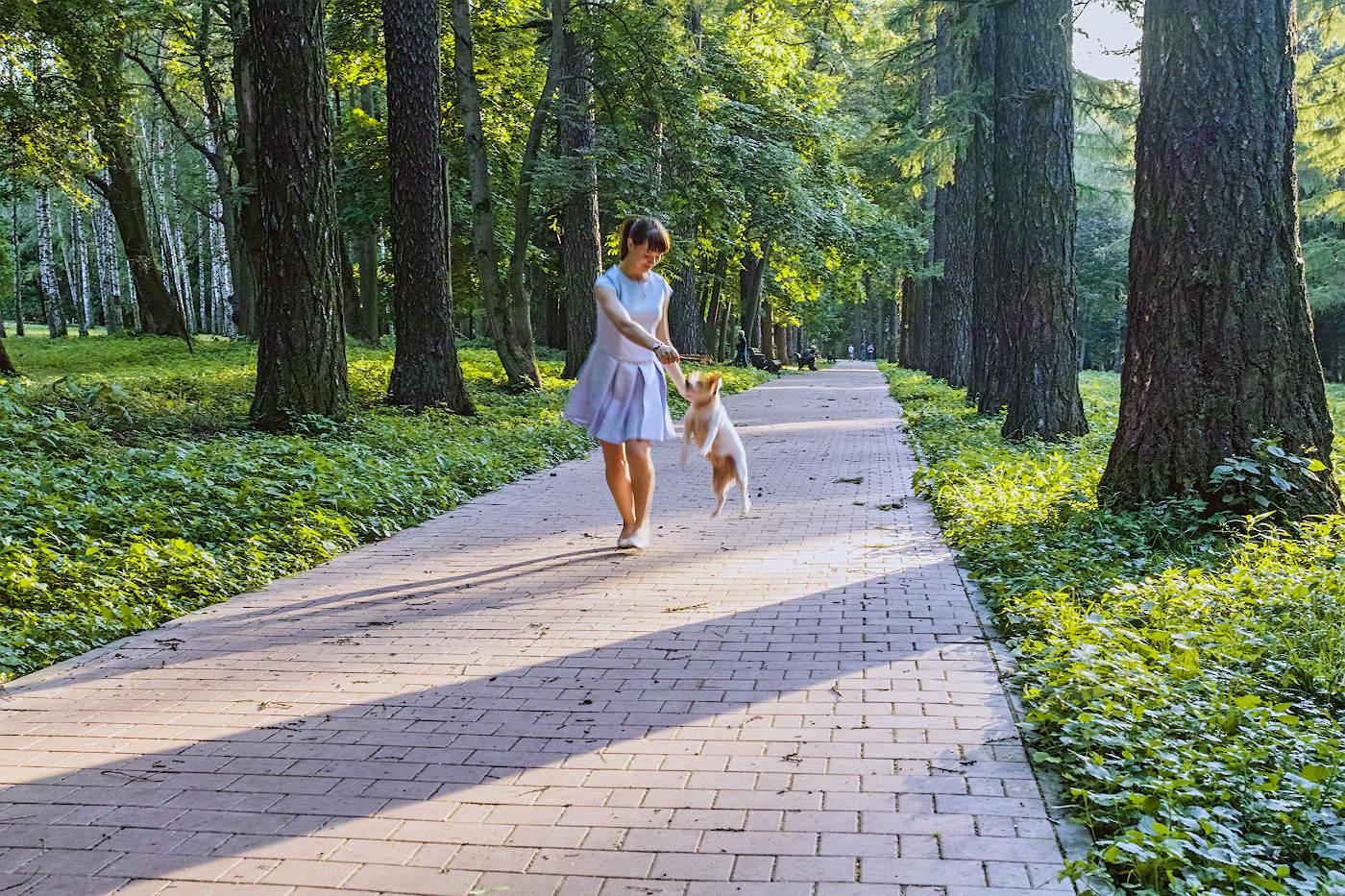 " А ну-ка отними"