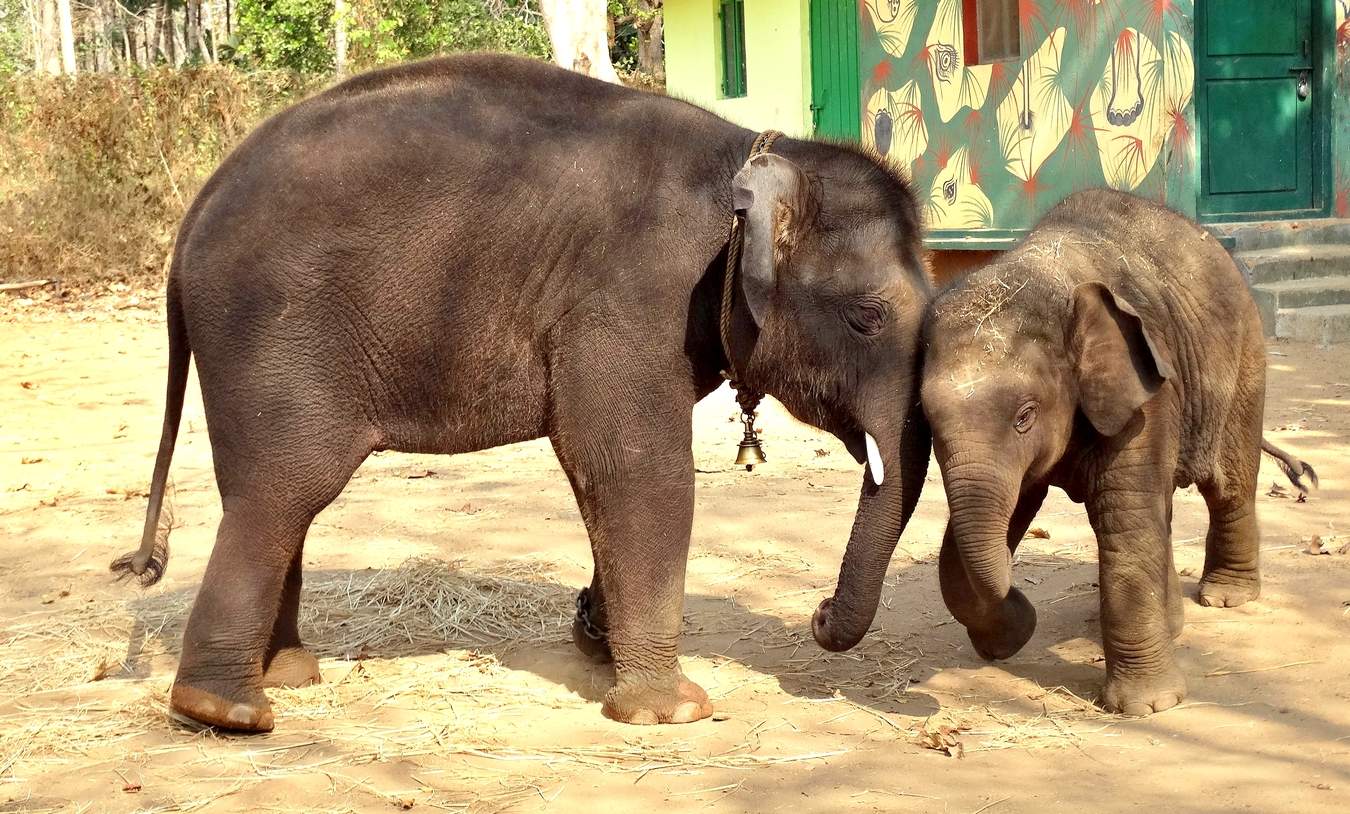 Неравенство сторон