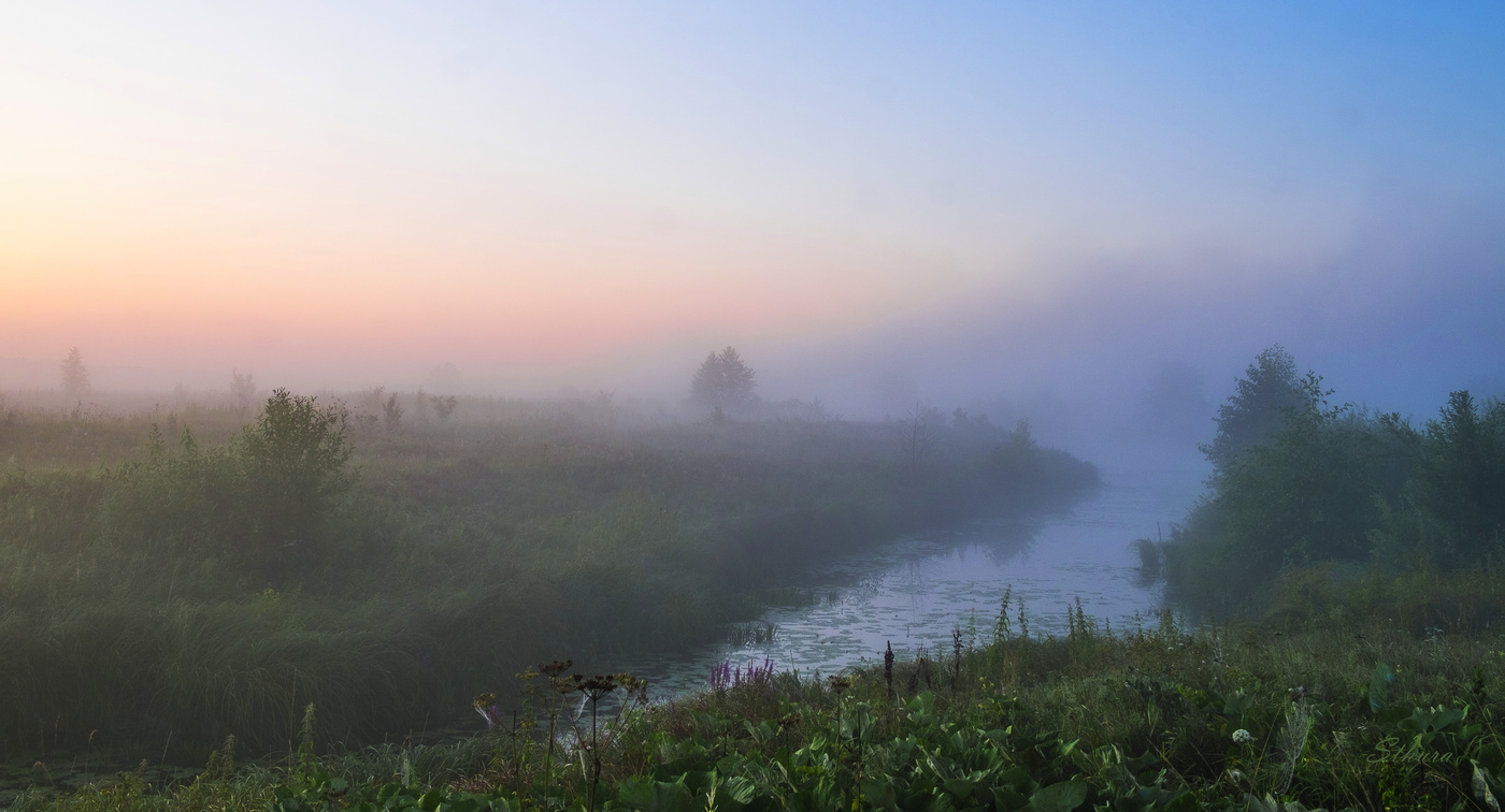 В поле у озера.
