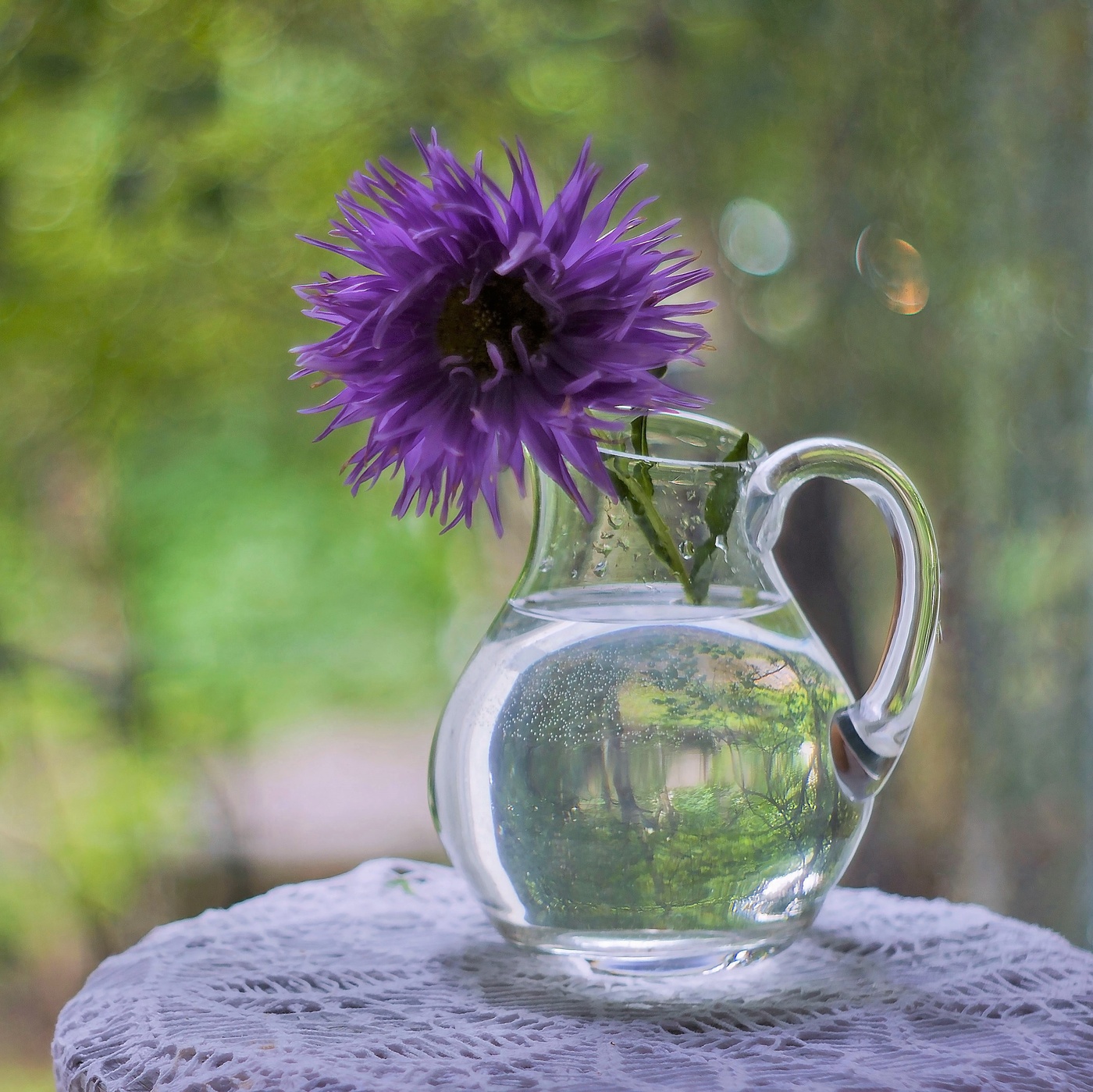 "Август - астры, август - звезды..."