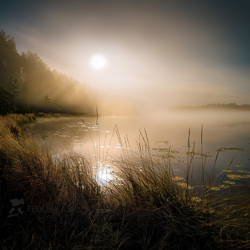 Туманное полнолунье