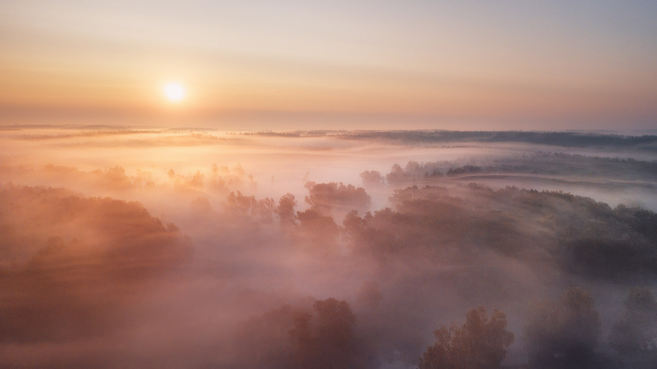 Летнее Утро