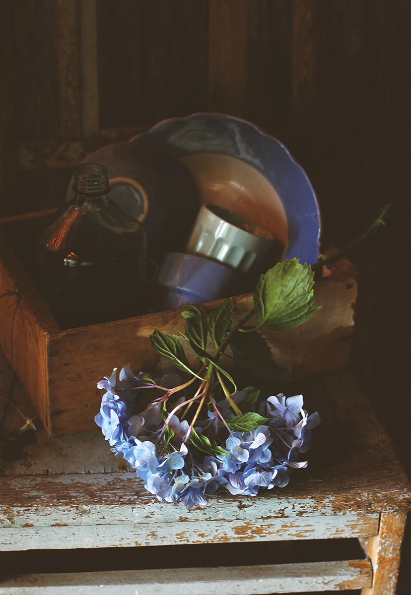 С голубой гортензией....