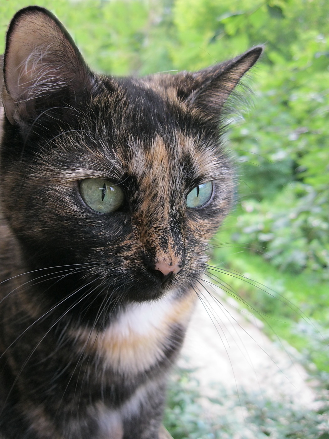 Задумалась.