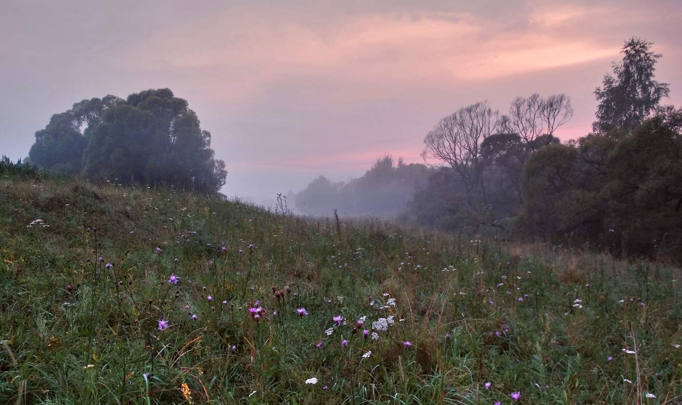 Летний туман украсил раннюю зарю
