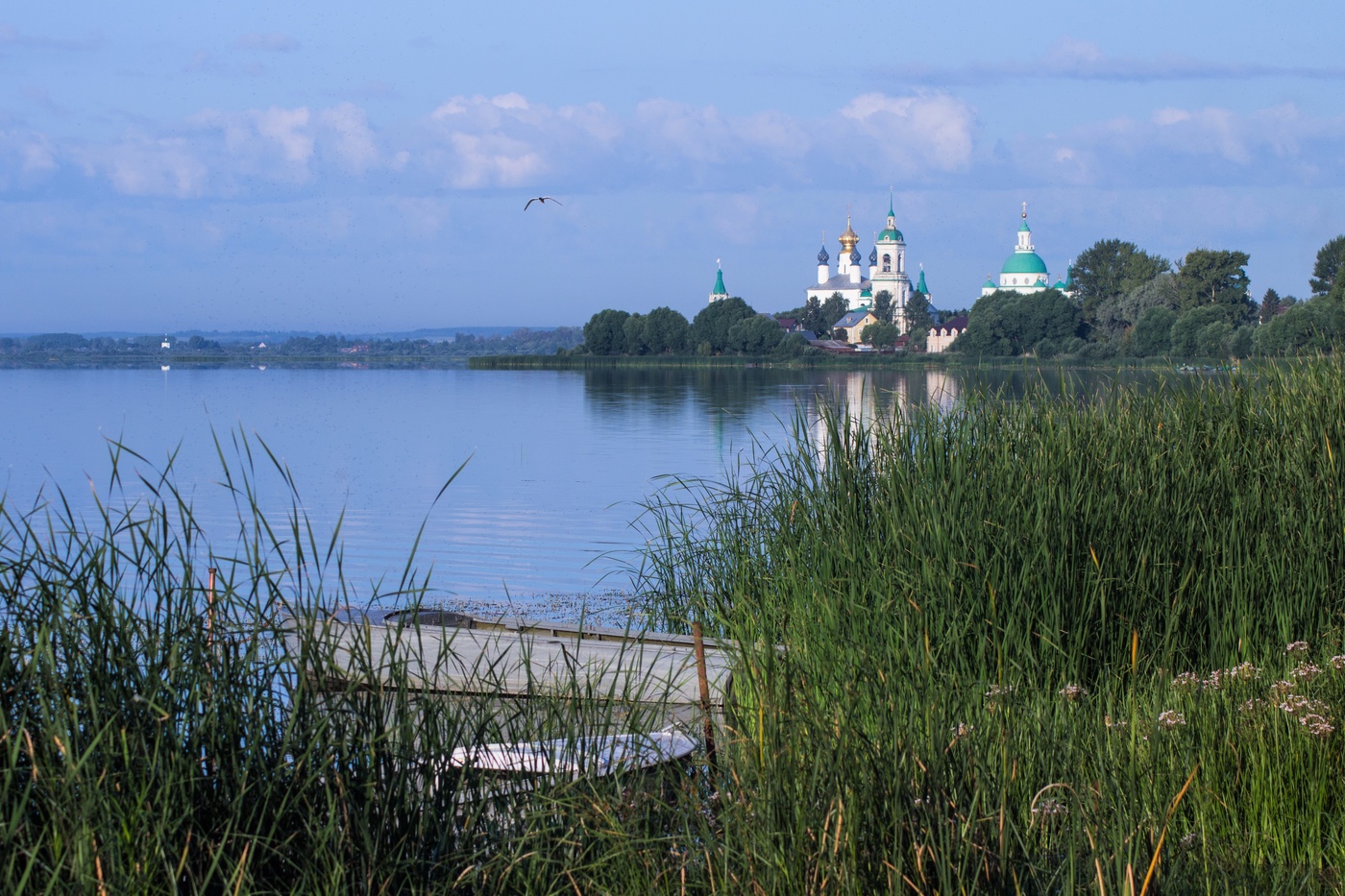 В утренней тиши