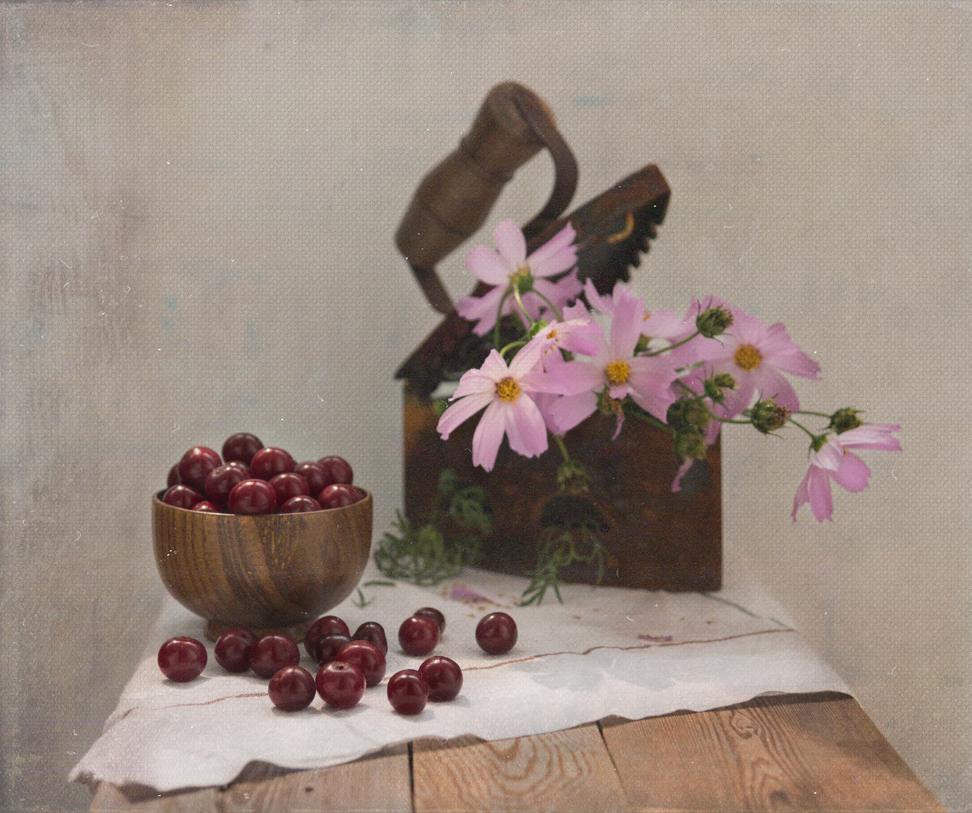 Созрели вишни...