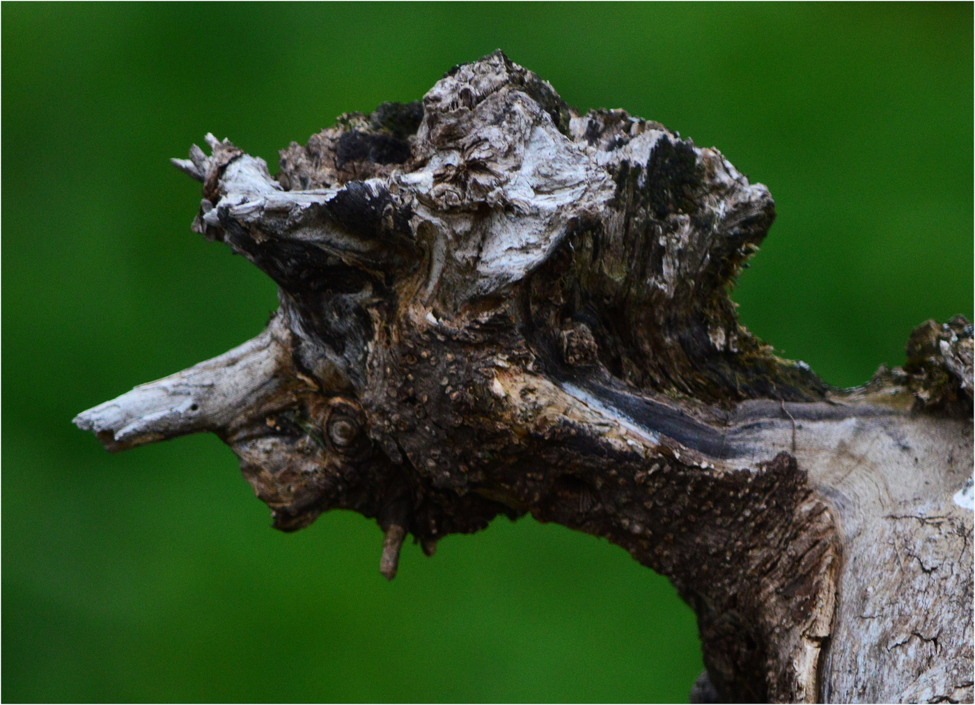 Они такие= лешие.