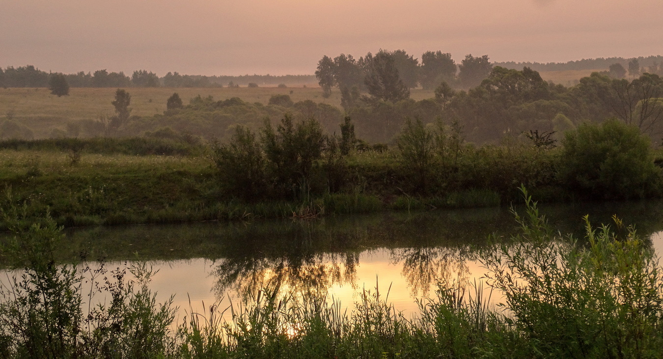 Перед восходом солнца затуманило