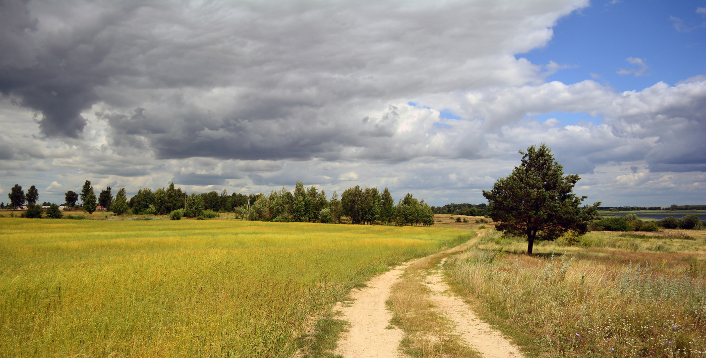 Летняя пора