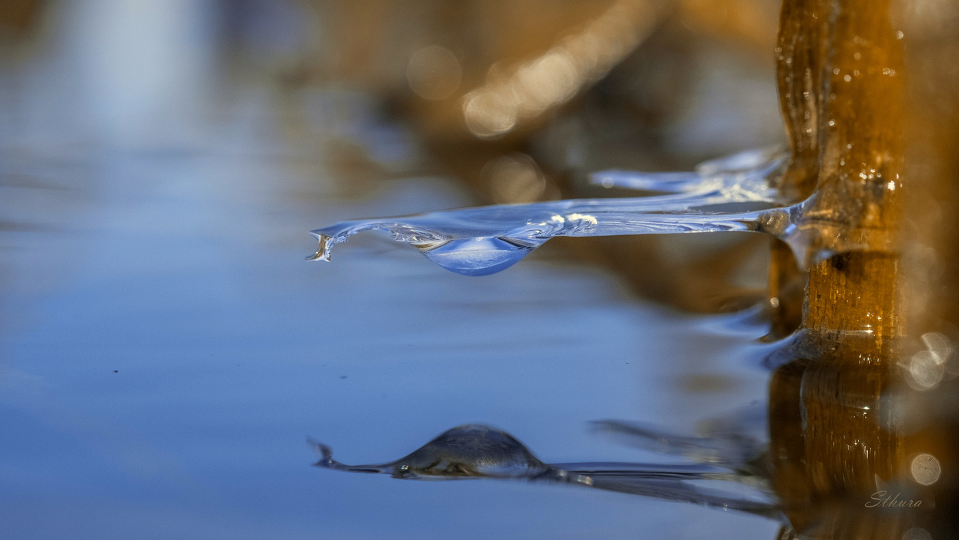 Осенние причуды.