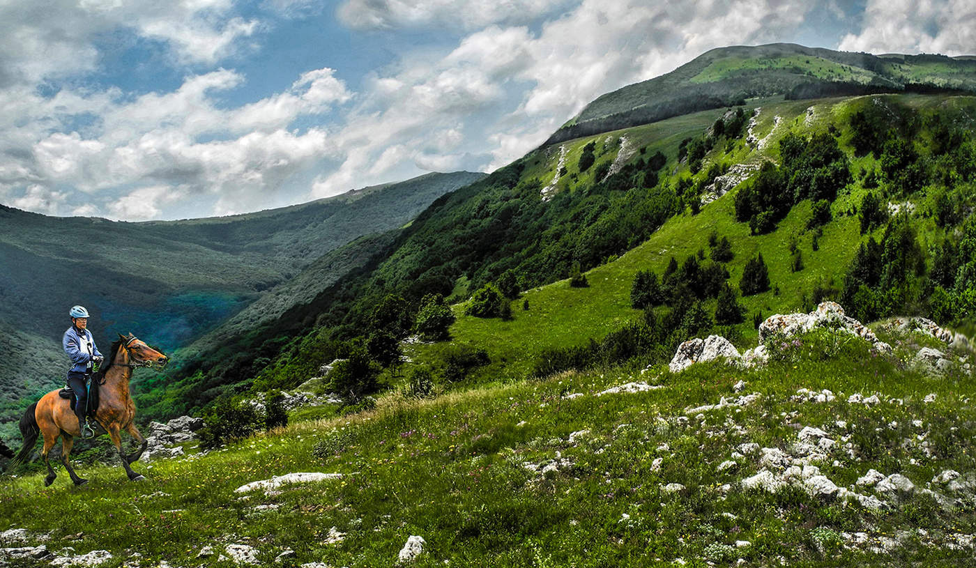 Природа Крыма