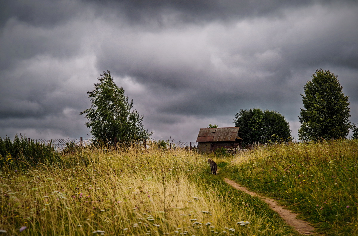 Гуляющая сама по себе