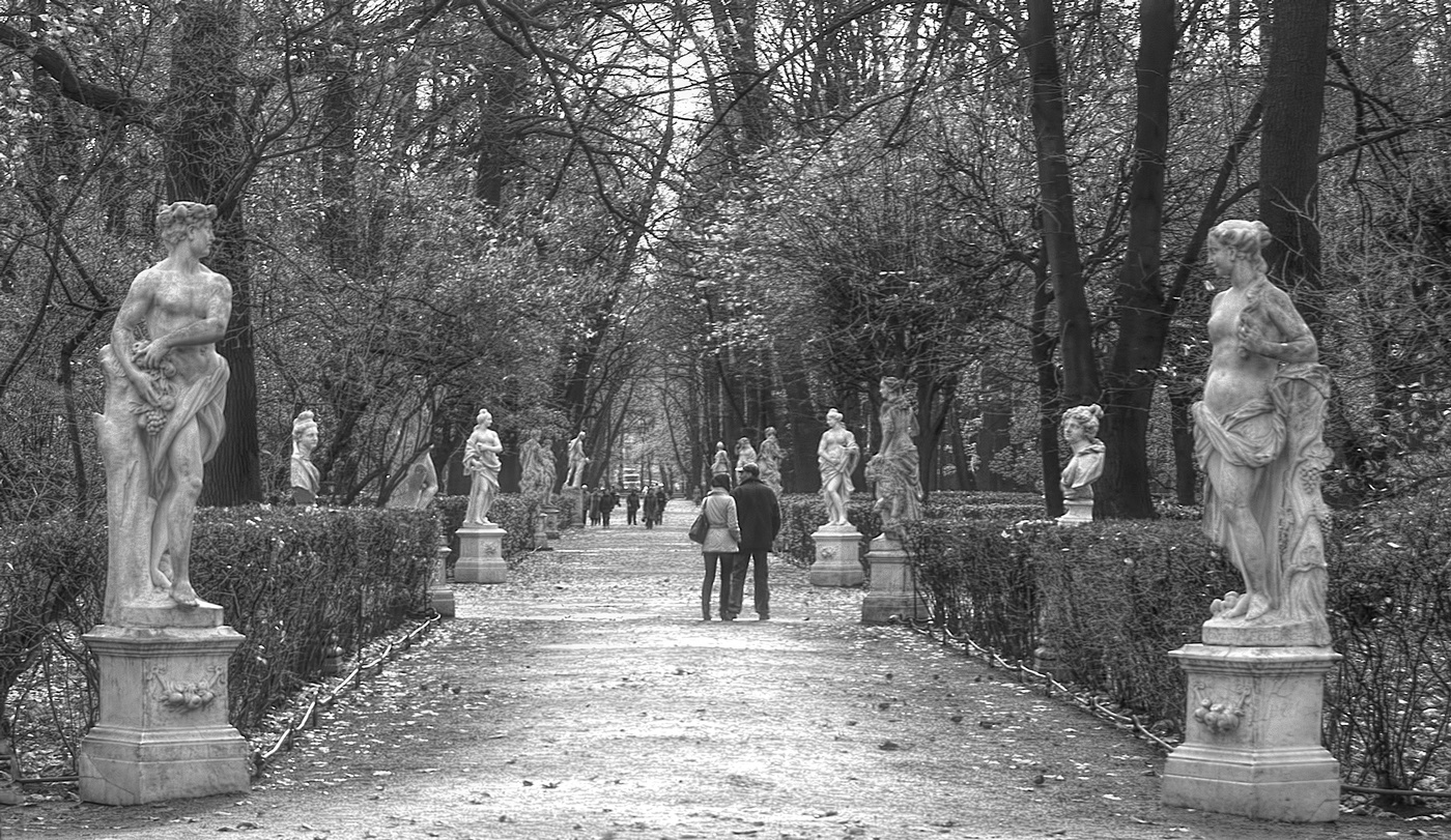 Осень Летнего сада